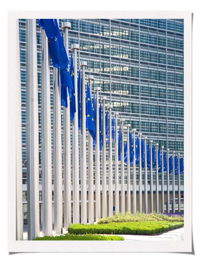EU Commission flags
